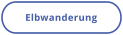 Elbwanderung