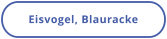 Eisvogel, Blauracke