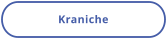 Kraniche