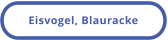 Eisvogel, Blauracke