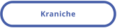Kraniche