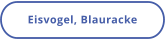 Eisvogel, Blauracke