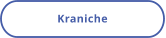 Kraniche
