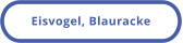 Eisvogel, Blauracke