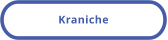 Kraniche