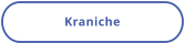 Kraniche