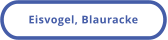Eisvogel, Blauracke
