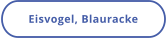 Eisvogel, Blauracke