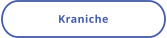 Kraniche