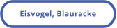 Eisvogel, Blauracke