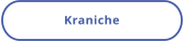 Kraniche