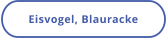 Eisvogel, Blauracke