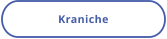 Kraniche