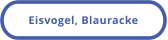 Eisvogel, Blauracke