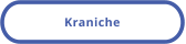 Kraniche
