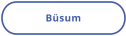 Büsum